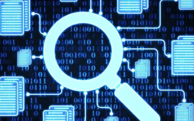 ¿Qué son los principios de seguridad OWASP en ciberseguridad?