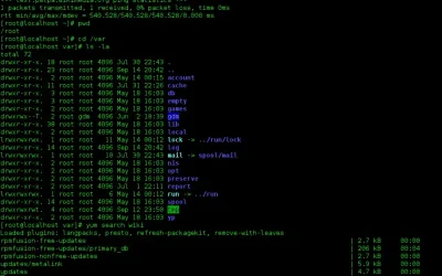 Diferencia entre GUI o interfaz gráfica de usuario y CLI o interfaz de línea de comandos